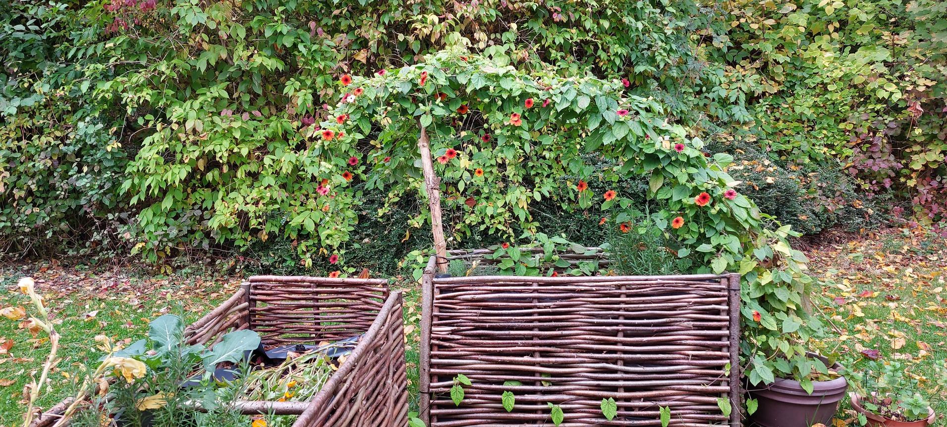 Blick auf zwei geflochtene Gartenkörbe, umgeben von buntem Laub und einer blühenden Pflanzenbogen.