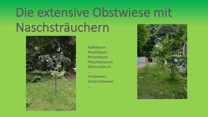 Zwei Abschnitte einer Obstwiese mit Obstbäumen und Naschsträuchern vor grünem Hintergrund.