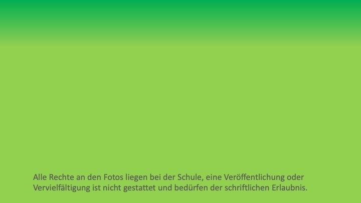 Grüner Hintergrund mit weißem Text zu Urheberrechten an Fotos und Veröffentlichungsbedingungen.