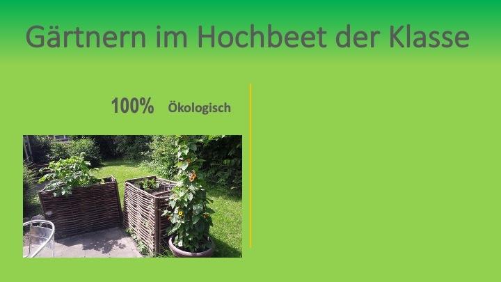 Hochbeete mit verschiedenen Pflanzen in einem Garten, umgeben von Grünflächen und Sonnenlicht.