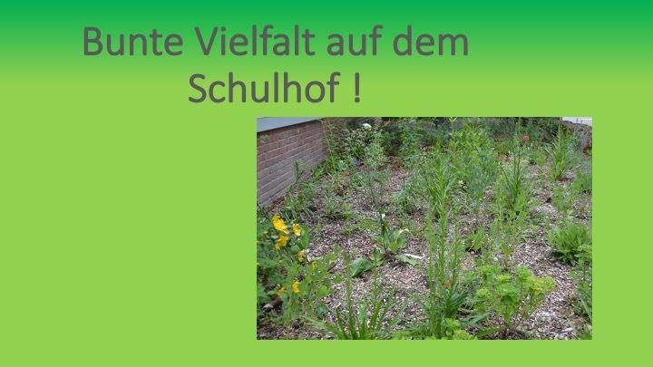 Begrünter Schulhof mit verschiedenen Pflanzen und Blumen vor einer Backsteinmauer.
