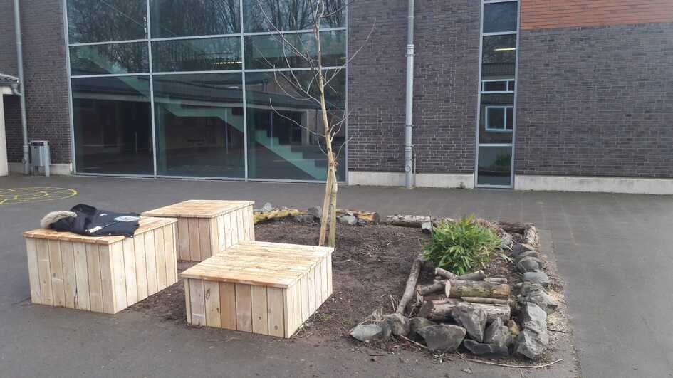 Holzkisten und ein kleiner Baum umgeben von Steinen in einem Schulhof mit einem Gebäude im Hintergrund.